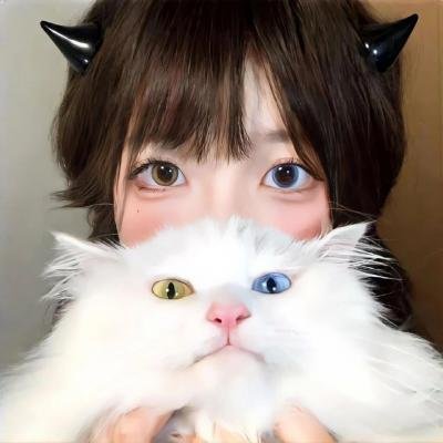 8.13重案组